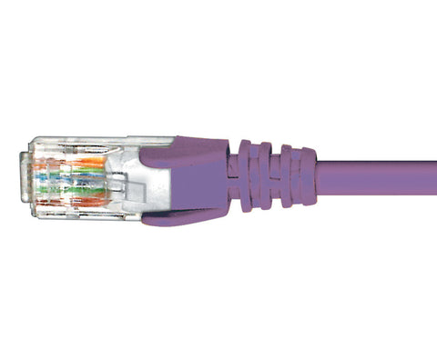 Purple Patch Lead RJ45