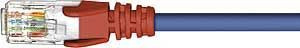 Blue Crossover lead