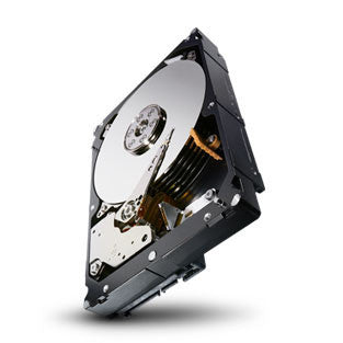 Constellation/128MB Cache/5Yr