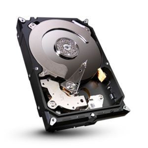 64MB, 6GB/S, 2YR, ST3000DM001