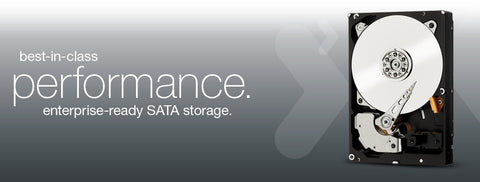 WD2000FYYZ 64MB 24x7
