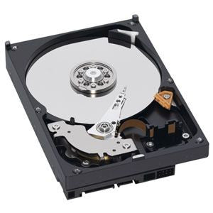 3 Years Warranty WD5000AAKX