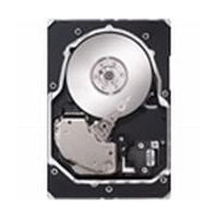 Cheetah/16MB Cache/5Yr Wty